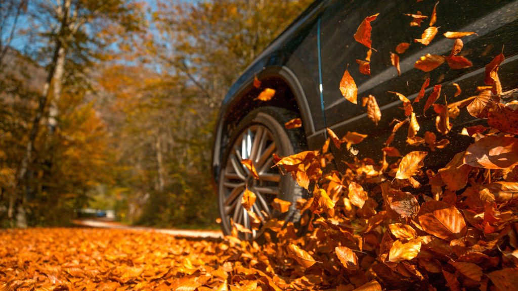 Car driving through fall leaves