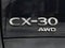 2025 Mazda Mazda CX-30 2.5 S Premium Package