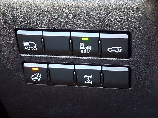 2020 Lexus NX NX 300 F SPORT