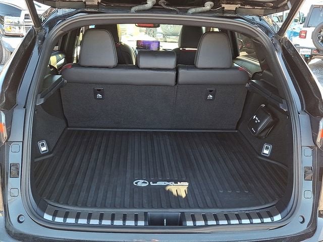 2020 Lexus NX NX 300 F SPORT