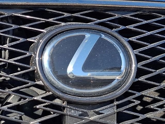 2020 Lexus NX NX 300 F SPORT