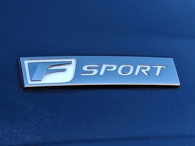 2020 Lexus NX NX 300 F SPORT