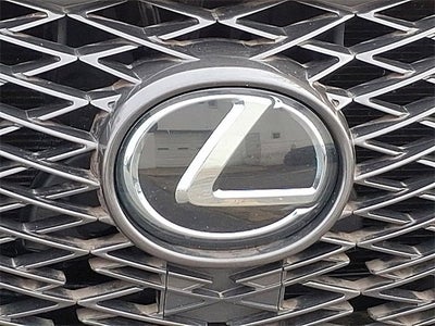 2020 Lexus NX NX 300 F SPORT