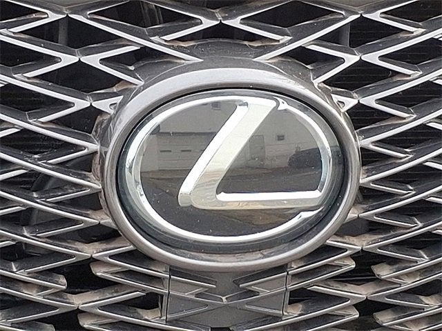 2020 Lexus NX NX 300 F SPORT